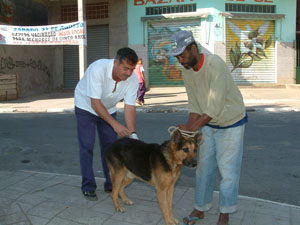 Polícia com Cão - 71162